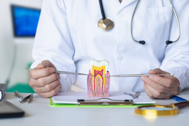 Best Emergency Root Canal Treatment in Lodi, CA